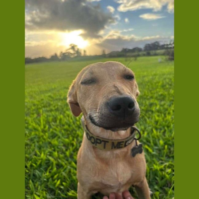 Photo of Mash