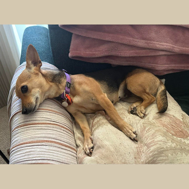 Photo of Tilda (Winnie)