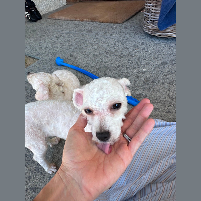 Photo of Molly
