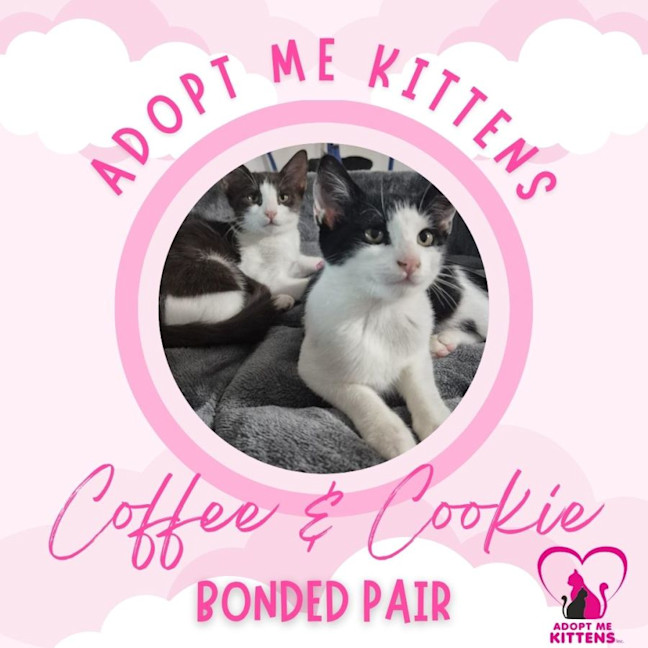 Photo of Coffee & Cookie