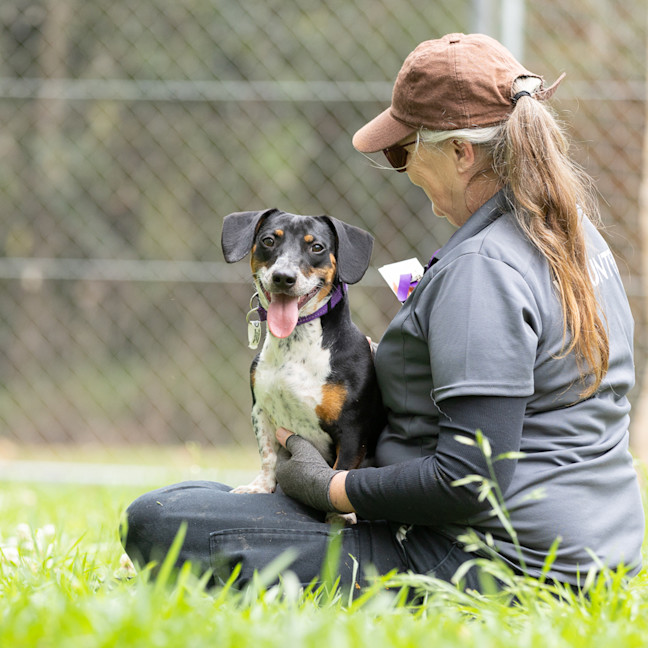Photo of Tuppence