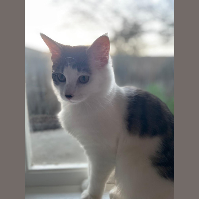 Photo of Hallie