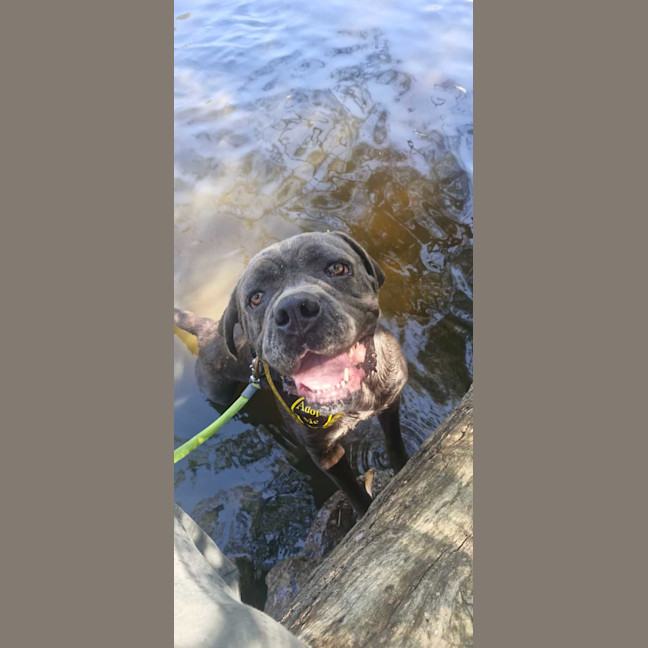 Photo of Lola