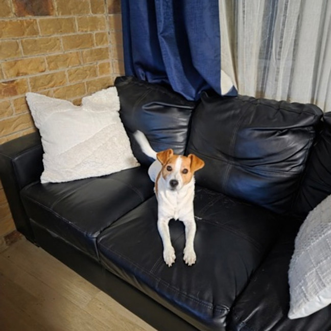 Photo of Sunny 