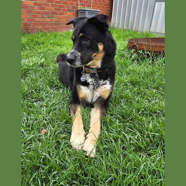 Photo of Leroy Jenkins