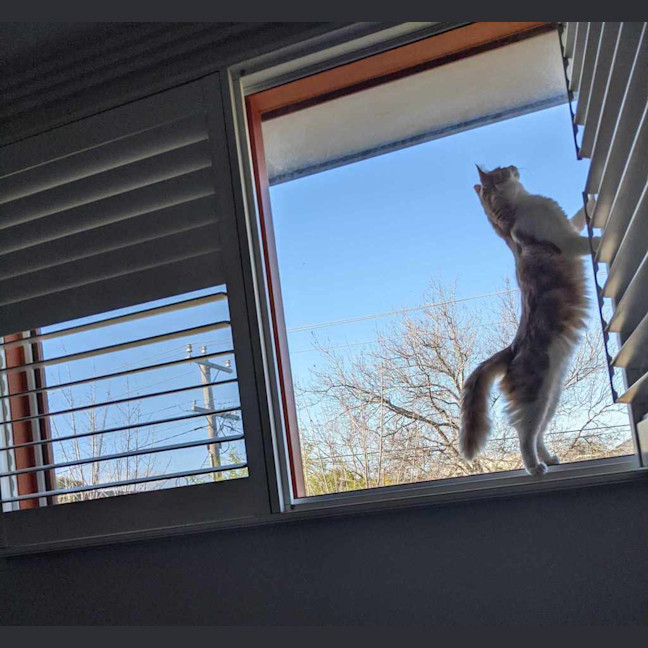 Photo of Slinky George