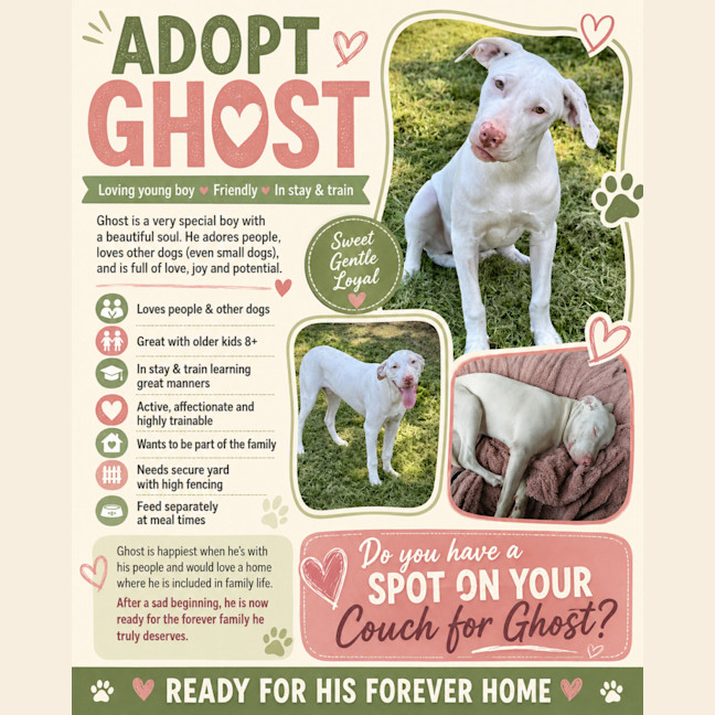 Photo of Ghost
