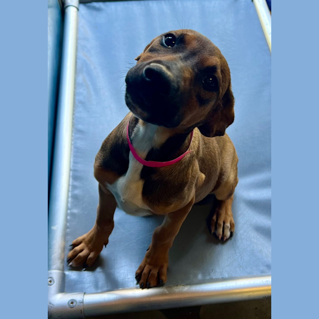 Photo of Peggy