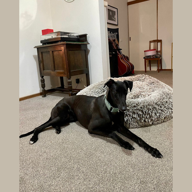 Photo of Izzie