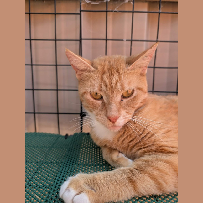 Photo of Bertie And Ocean