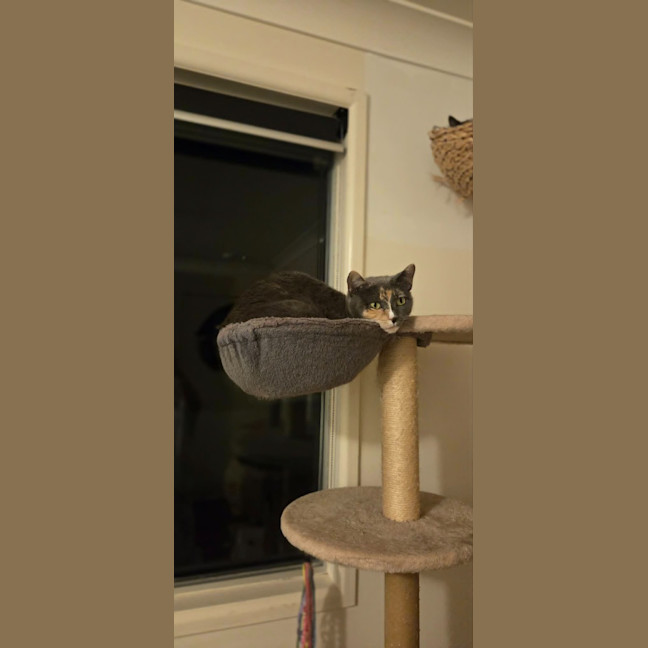 Photo of Cali
