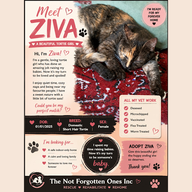 Photo of Ziva💖