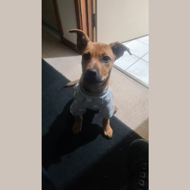 Photo of Tilly (Tandi)