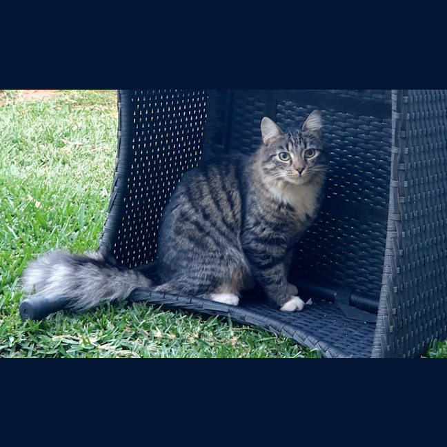 Photo of Rocky