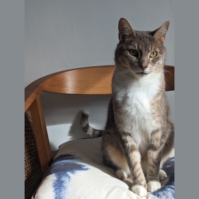 Photo of Zen