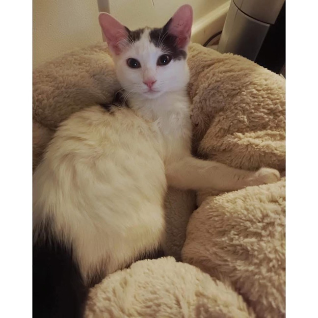 Photo of 11718   Elphaba