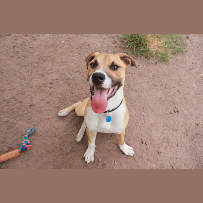 Photo of Dudley
