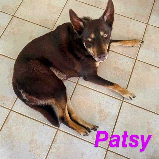 Photo of Patsy
