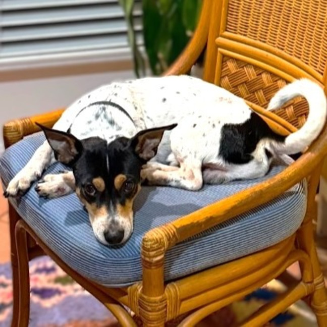 Photo of Nigel