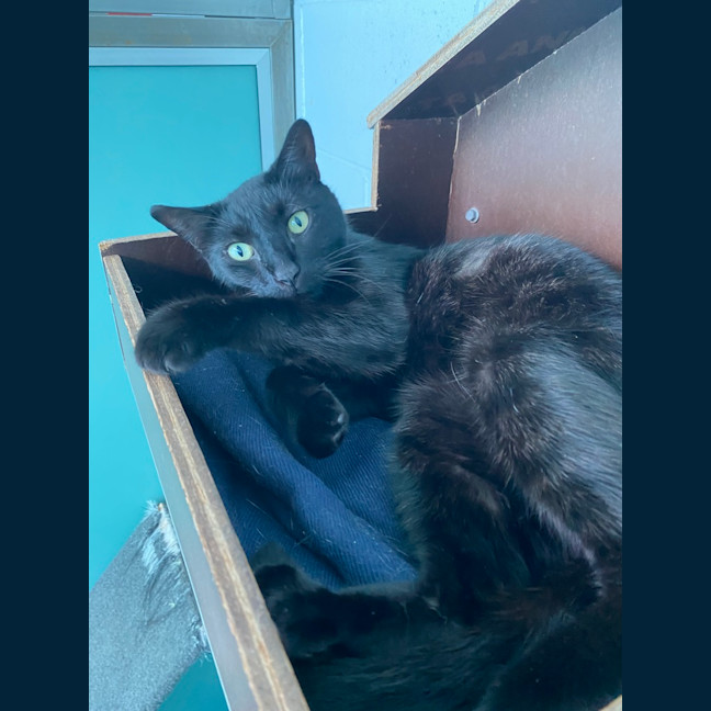 Photo of Hermes