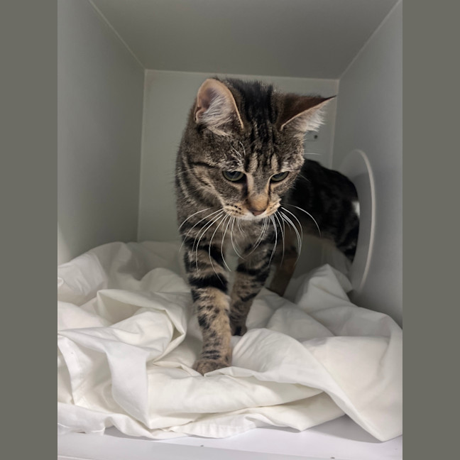 Photo of Lilith