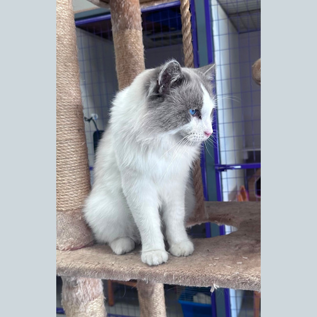 Photo of Gary 