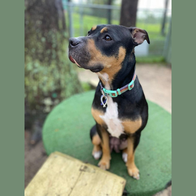 Photo of Marnie