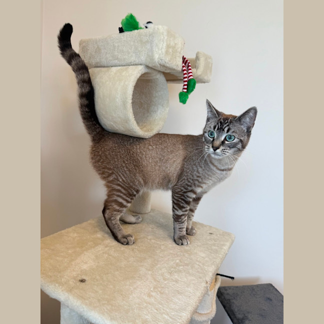Photo of Tucker