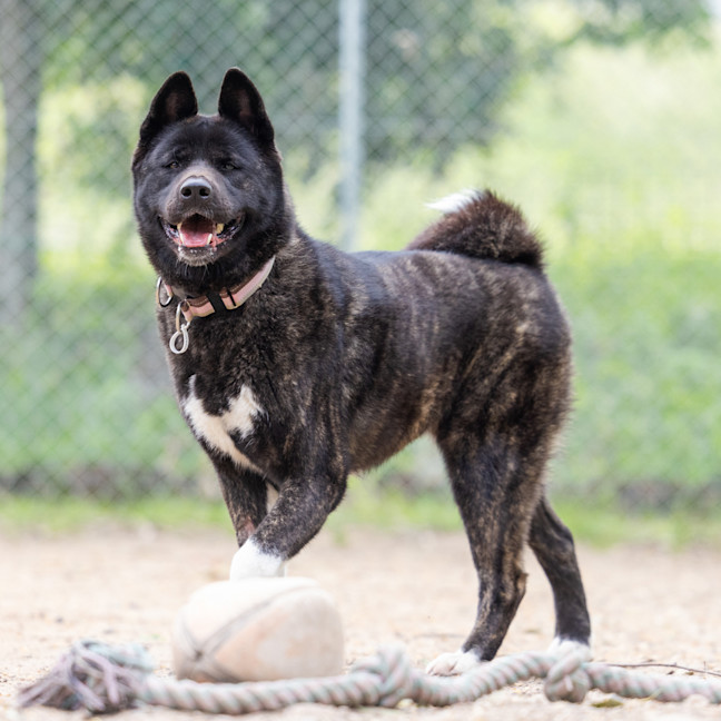 Photo of Kita