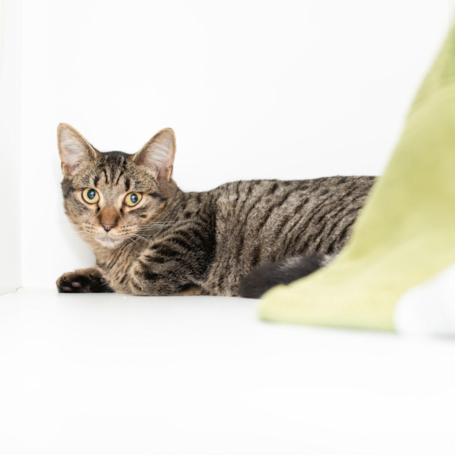 Photo of Libby