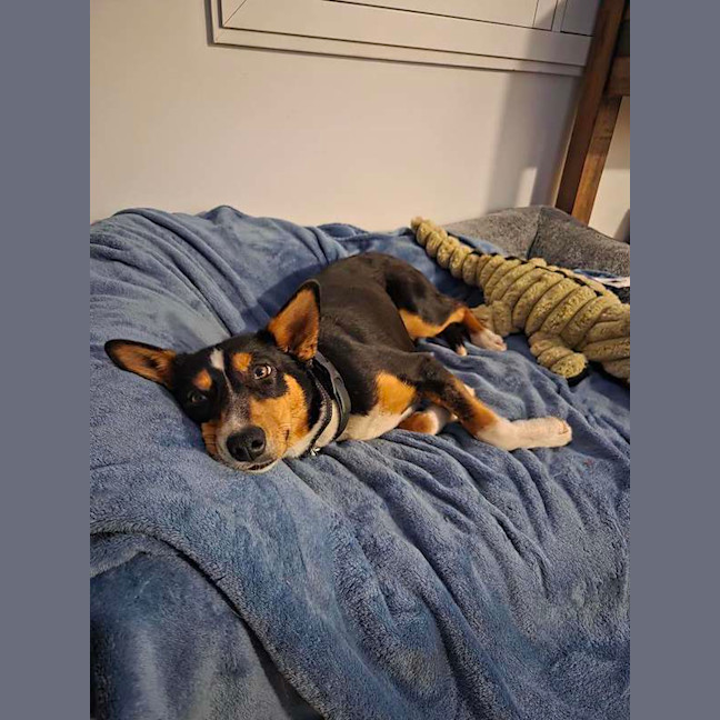 Photo of Roxy