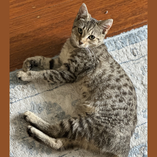 Photo of Twinkle
