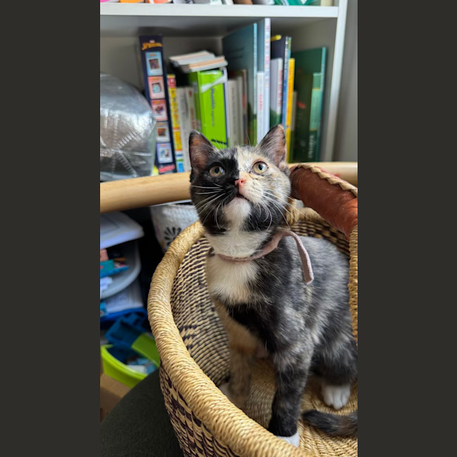Photo of Winnie