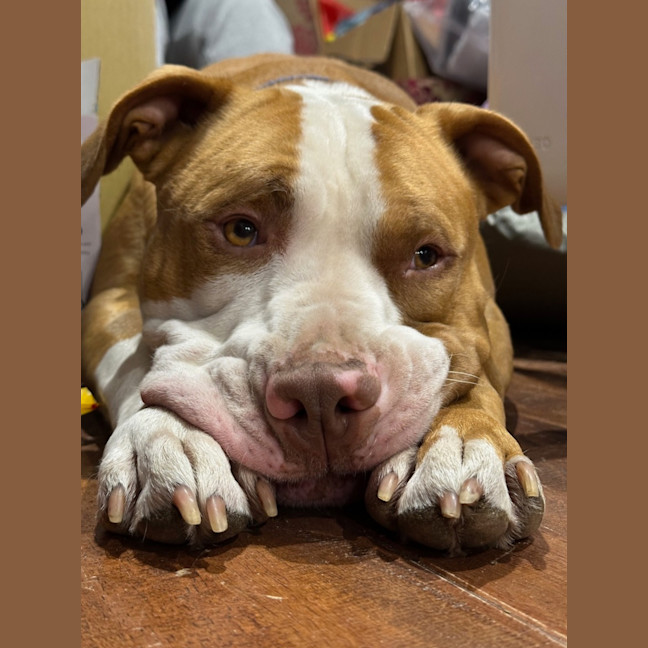 Photo of Zipper
