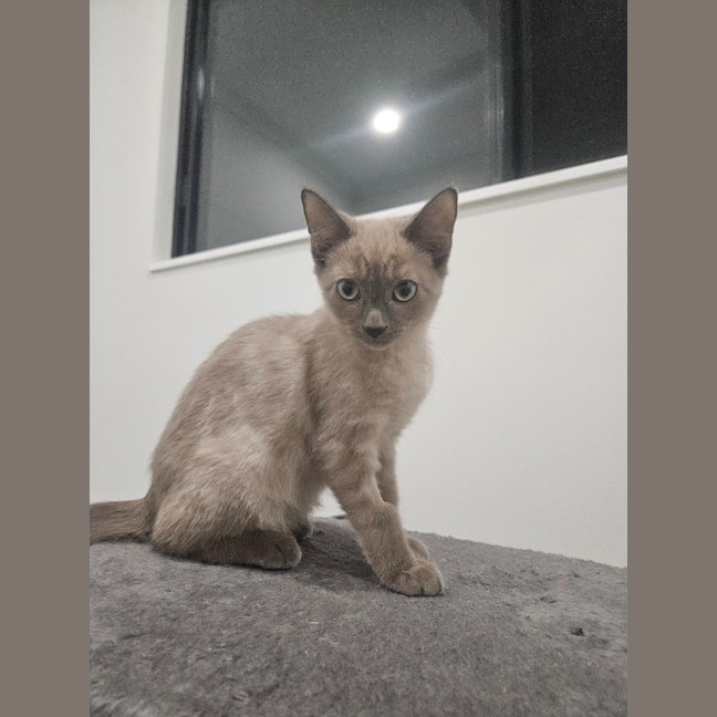 Photo of Zephyr