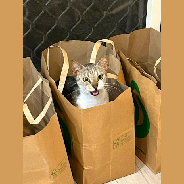 Photo of Ally Mc Beal