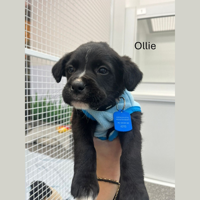 Photo of The Magnificent Seven!