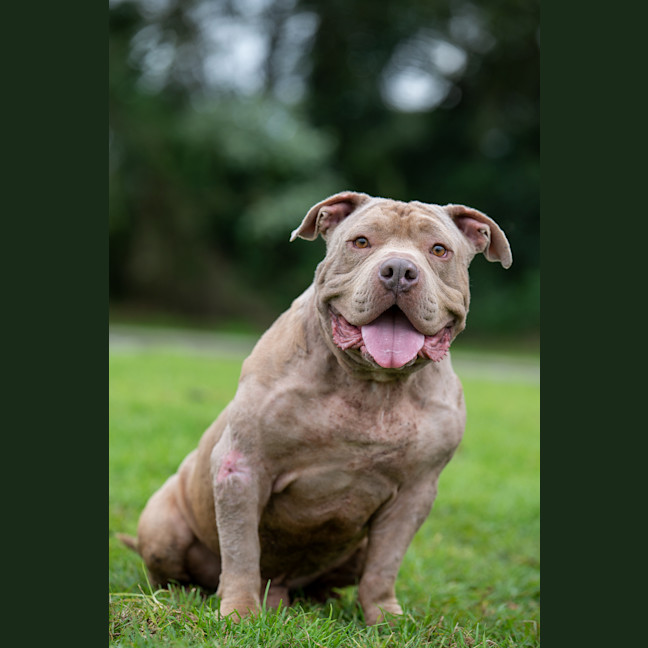 Photo of Wally