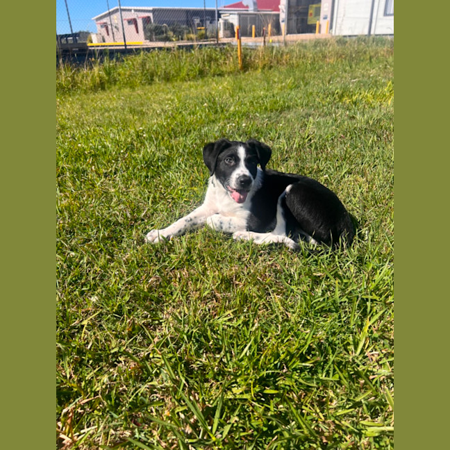 Photo of Lenny