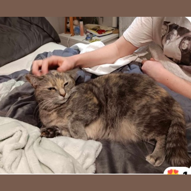 Photo of Molly