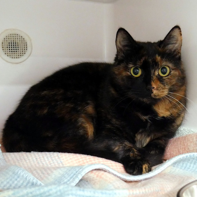 Photo of Charlotte Sta013830