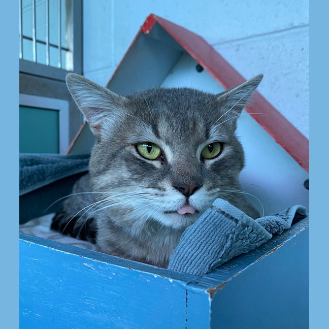 Photo of Chase