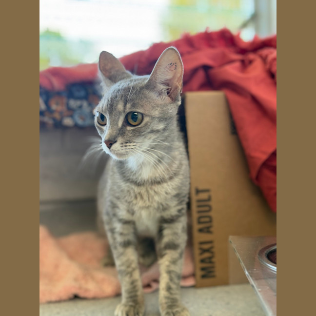 Photo of Blink