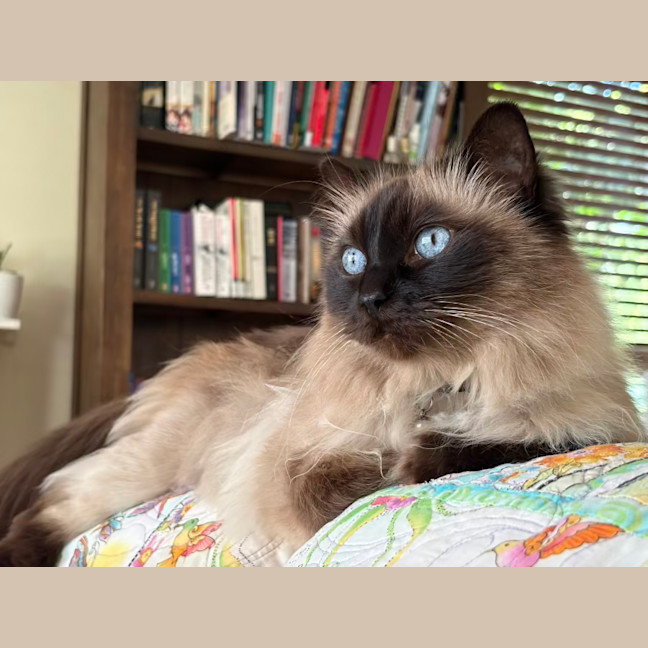 Photo of Kiki