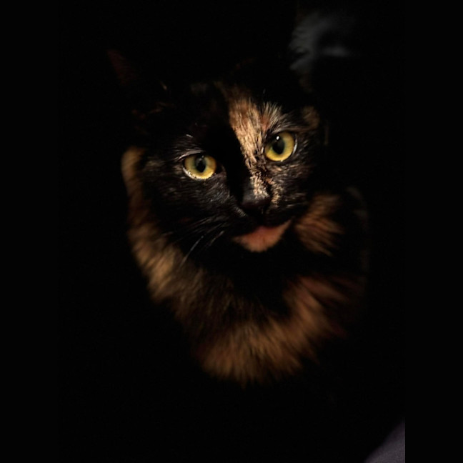 Photo of Ruby