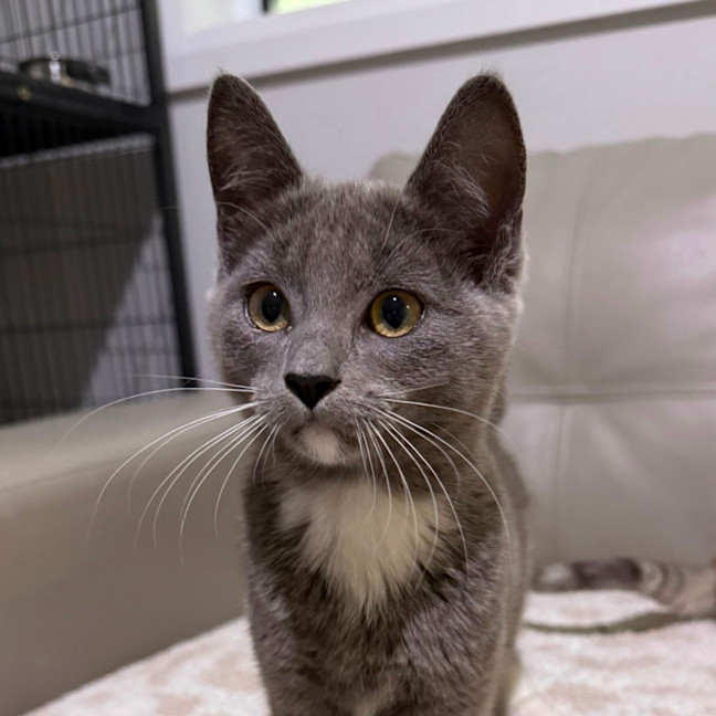 Photo of Arya 🪻💜