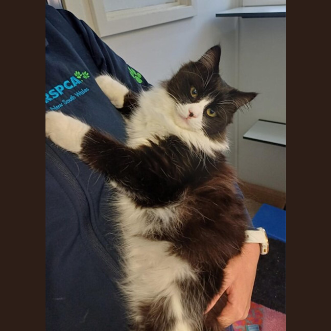 Photo of Syd Barrett Nee Murray