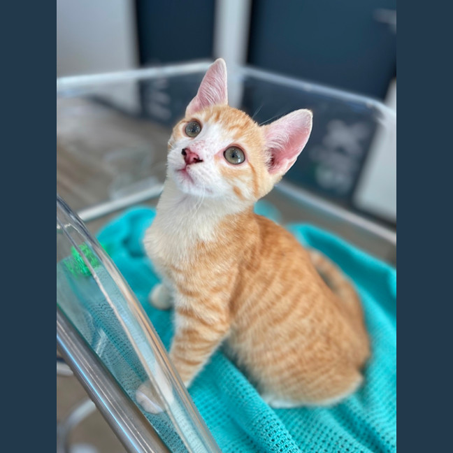 Photo of Marm