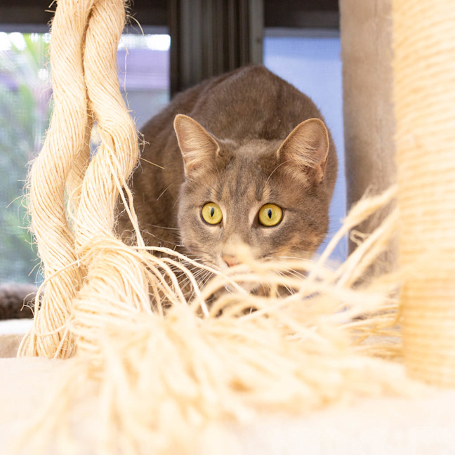 Photo of Max