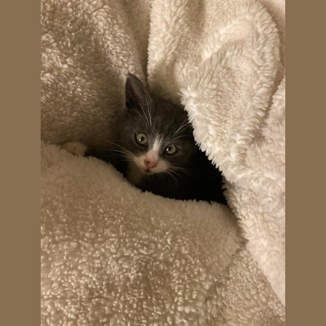 Photo of Gus